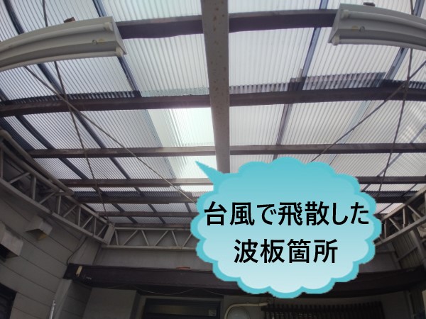 波板飛散箇所　台風被害